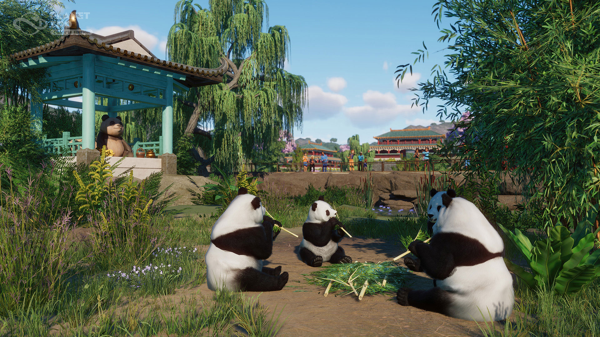 Planet Zoo Biyomlar