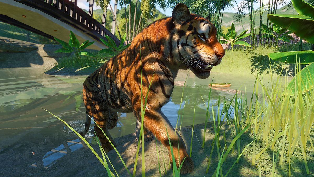 Planet Zoo İpuçları ve Stratejiler